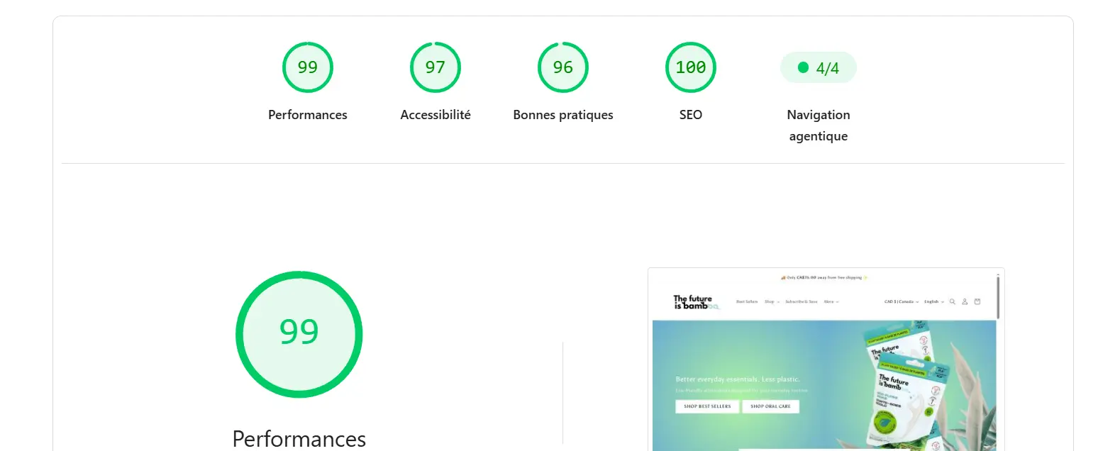 Capture Lighthouse de The Future Is Bamboo : performance 99, accessibilité 97, bonnes pratiques 96 et SEO 100